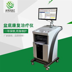 產(chǎn)后盆底康復(fù)治療儀市場解析 廠家批發(fā)價(jià)格與貴州地區(qū)發(fā)展現(xiàn)狀